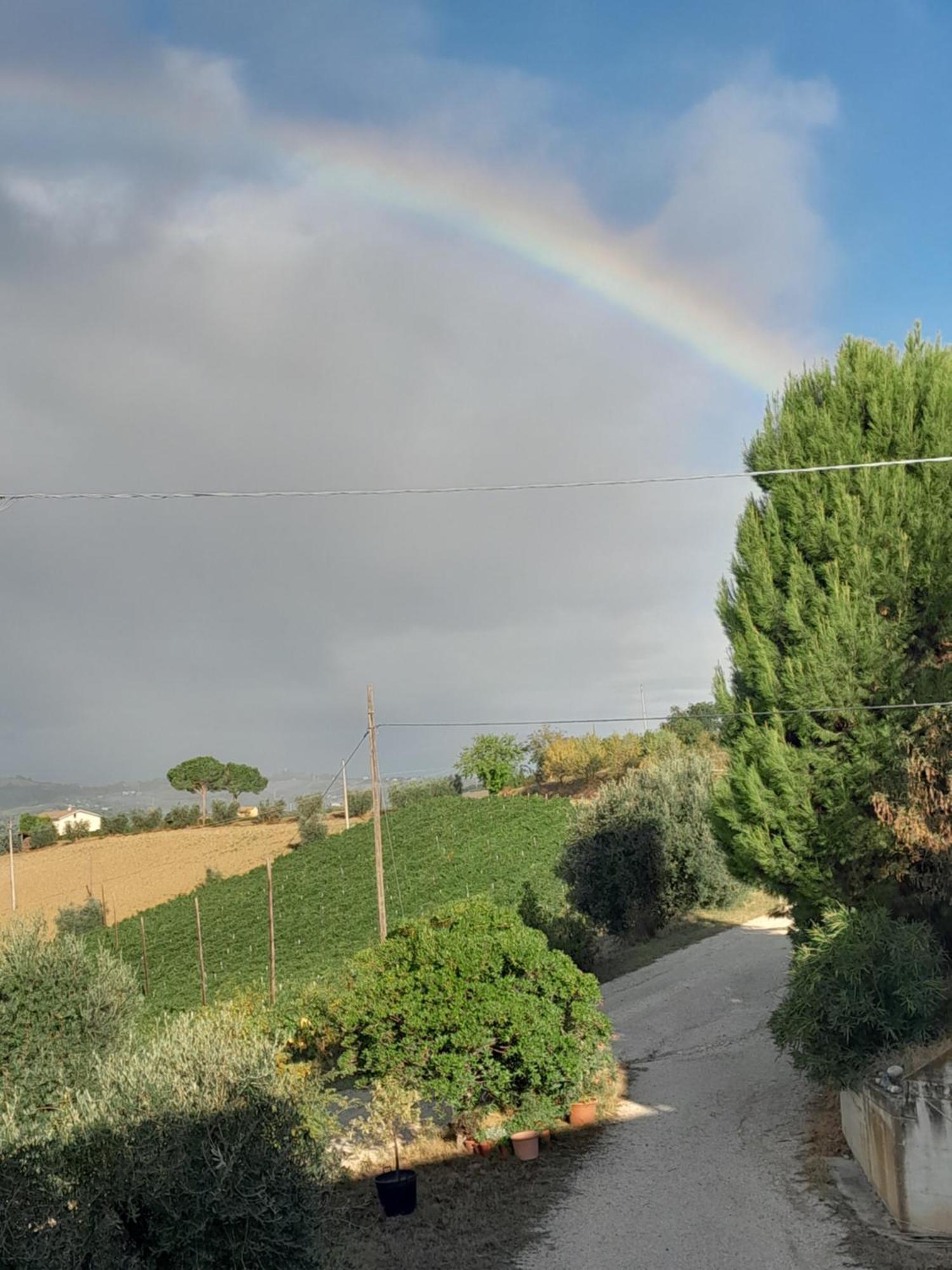 Alchemilla Bed & Breakfast Offida Esterno foto